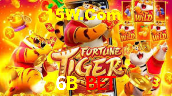 Premium Interface 6B Bet